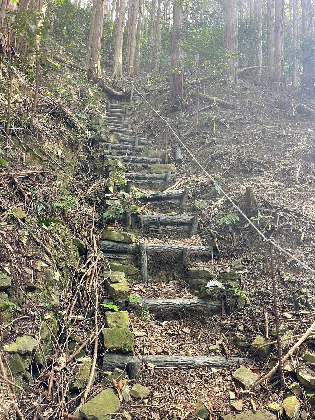 スタートから急登。
可也山石切場クラス。
流石霊峰、試練強め。