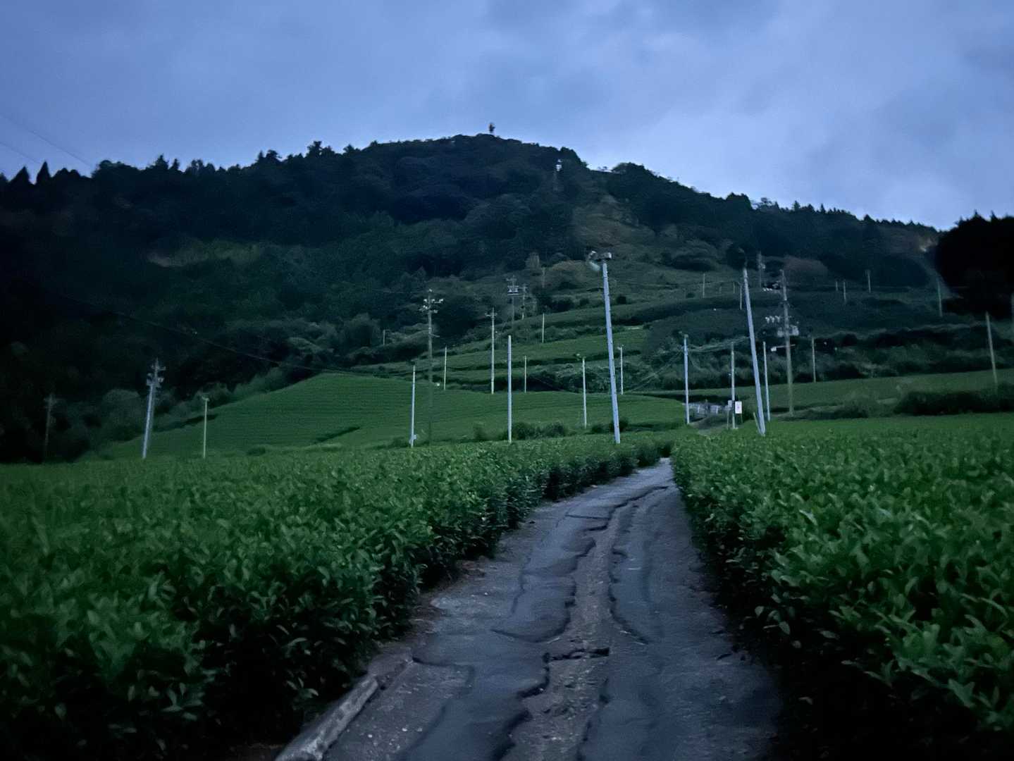 まだ薄暗い。
ここから見る粟ヶ岳、好きなんですよね(^^)