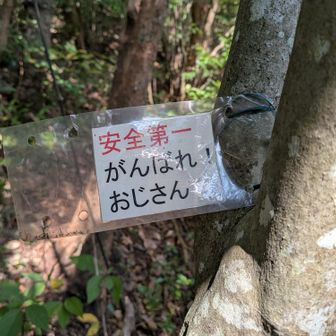 なぜか刺さる。最近はおじさんにおじさんと言わなくなったよね