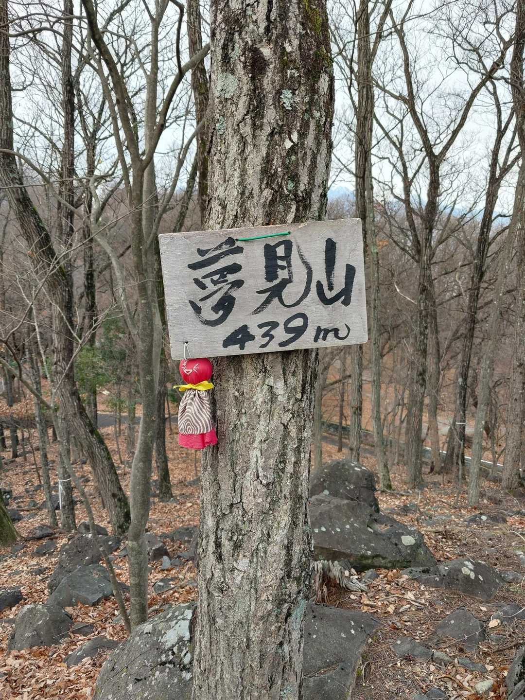 愛宕山-夢見山 往復コースの写真