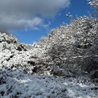 とても近所の山とは思えない景気