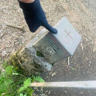 【15座目】三国山⛰️個人的にラスボスはここ👿ここにきて250mの登りはキツいよ🥹
【16座目】海ノ平⛰️三角点も看板も見当たらない