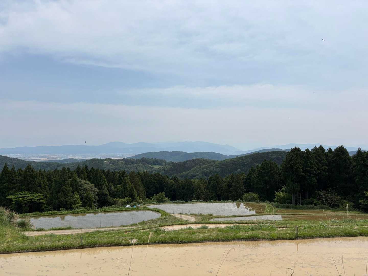 下山途中から
向こうに雪が残ってる山が見えるけど白山かな❓
また夏になったら登りに行きたいなー(*´ω｀*)
