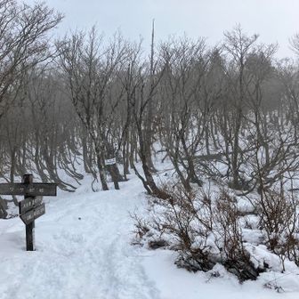 雪がまた深くなってきた