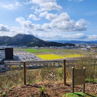 良い景色です。