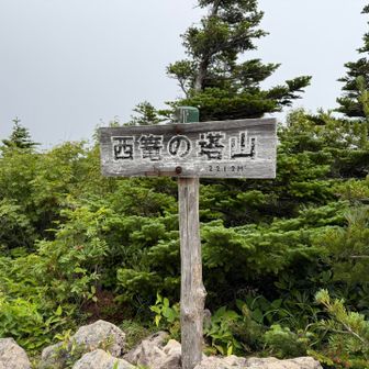 西篭の塔へ。
賑やかなのは東篭ノ塔だけで、こちらへ来る人はあんまりいないようでした。