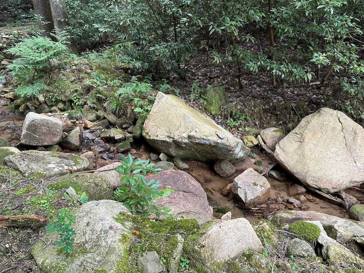 すぐ隣りに川が流れてます🏞️