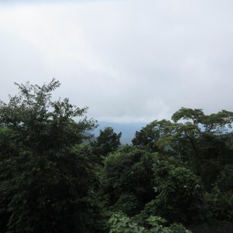 高尾山頂からもモヤモヤ