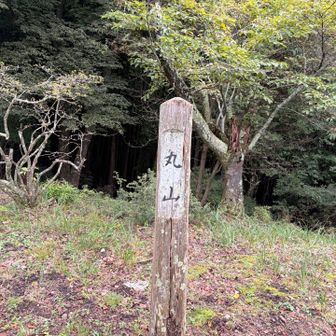 関八州見晴台の手前にある丸山