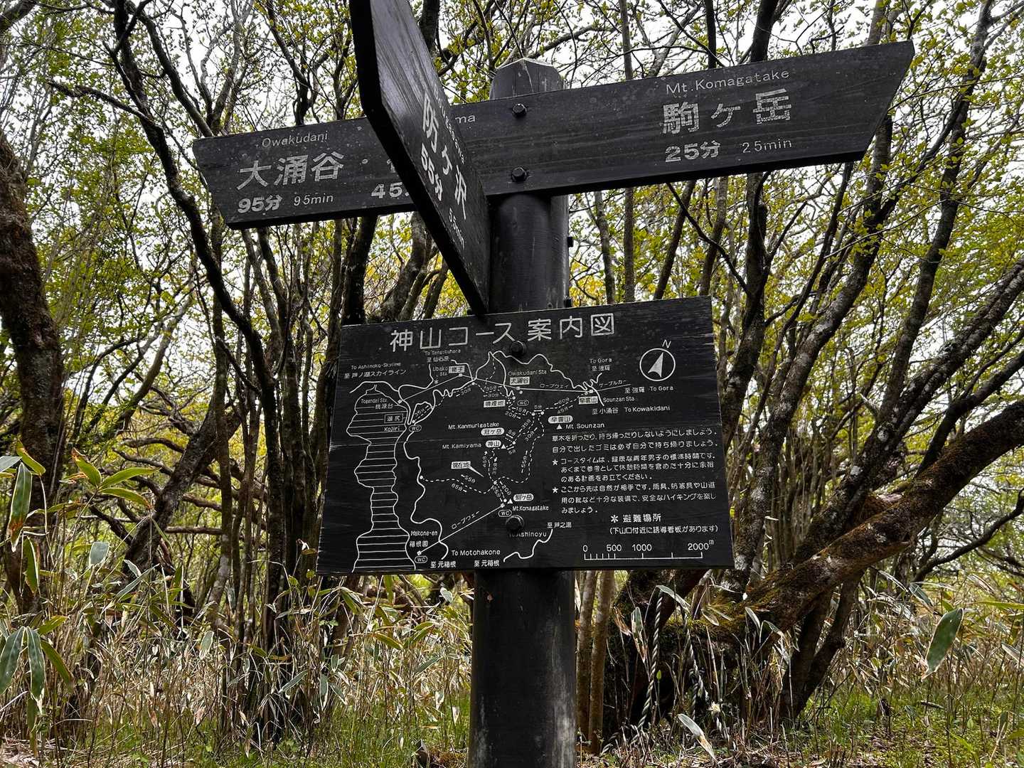 分岐から神山方面へ