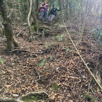 ロープがあって助かります。落ち葉で滑りやすいです。