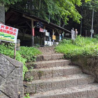 夜叉神登山口から
1泊2日でピストン