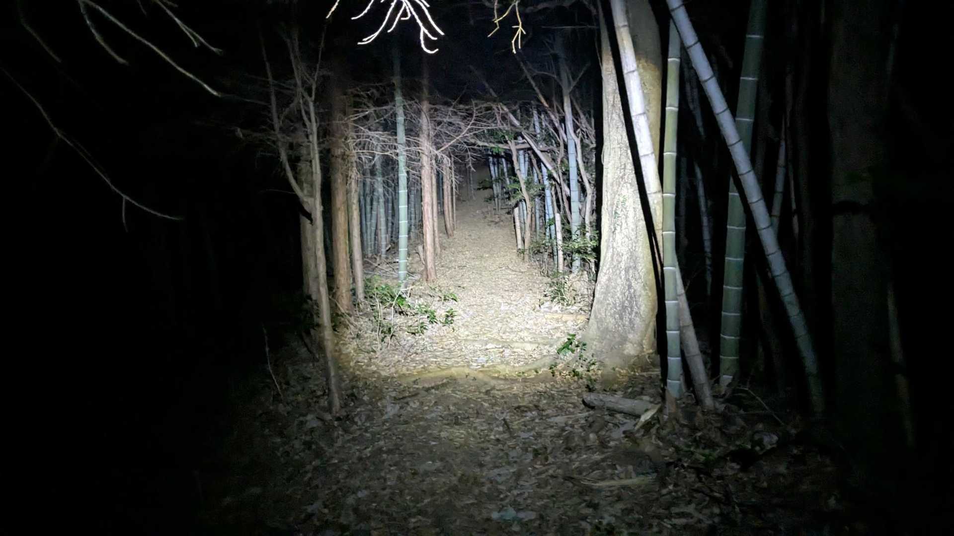 やっぱり暗い山道を歩くのは、何度やっても慣れない。
正直、怖い。