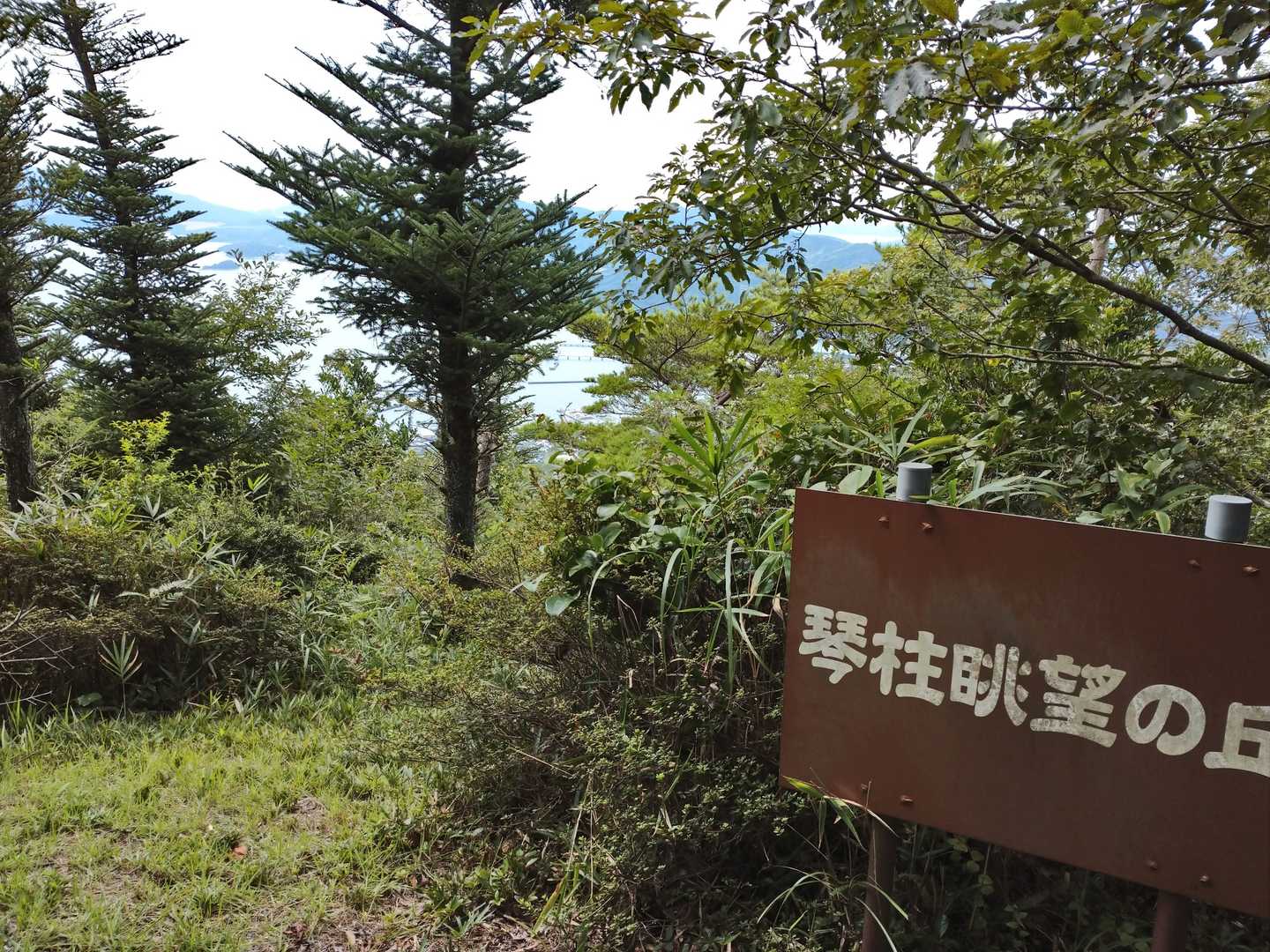 微妙な眺望