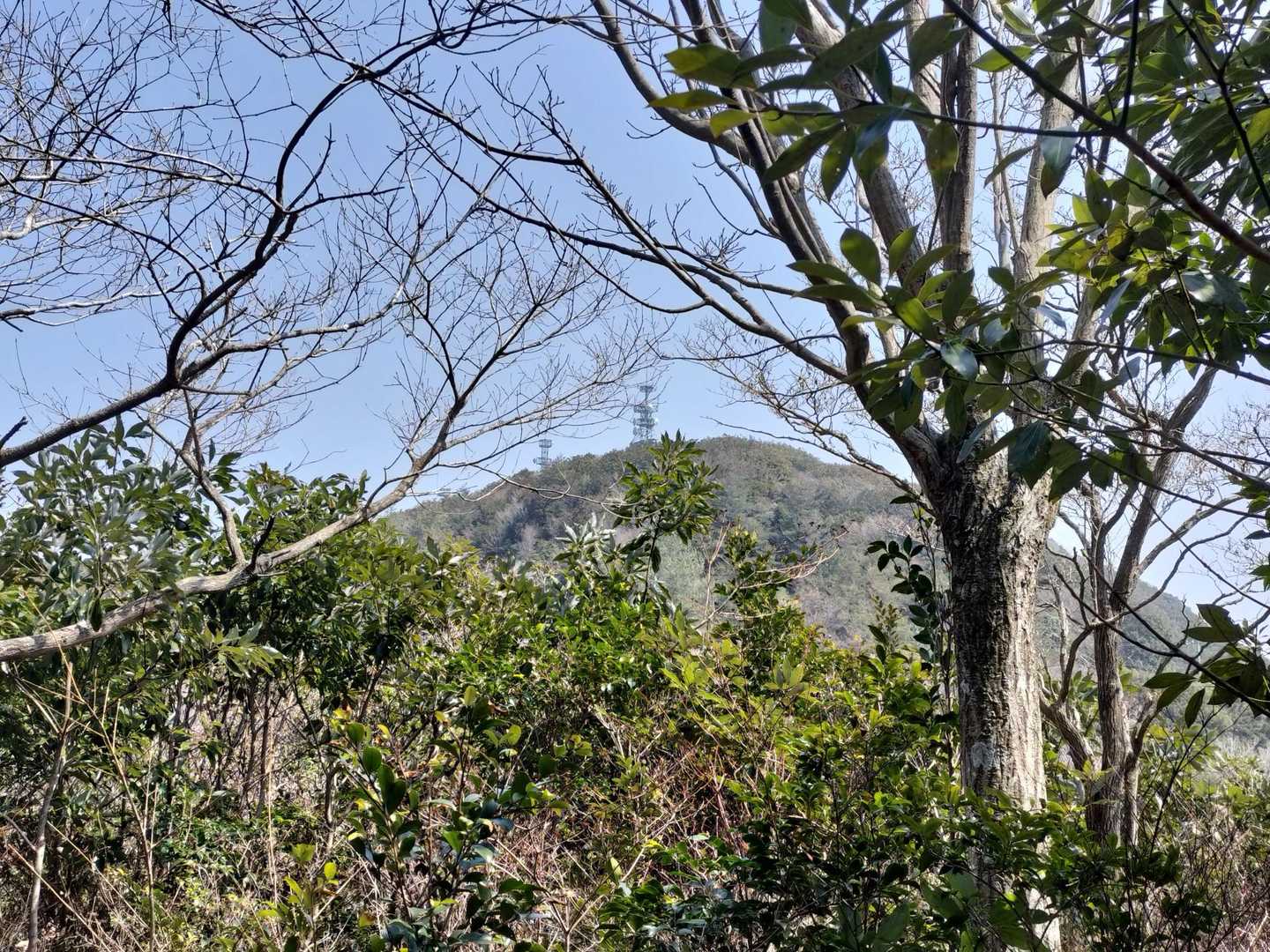 途中で華山が見えました