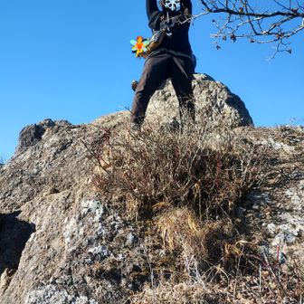 ⚠️この岩乗り越える所が要注意カ所！
私は岩を進行方向左(写真の右)に巻きましたが、足場狭いです。巻いたカ所から見れば、こっちも良いかも。どちらでも、キレていますから慎重に！
⚠️この岩峰をくだり切ると、次が１０-２０mの高さの垂直岩になります！
どっちでも落ちたら⚰️🧑‍🦽🛌💸🙏
