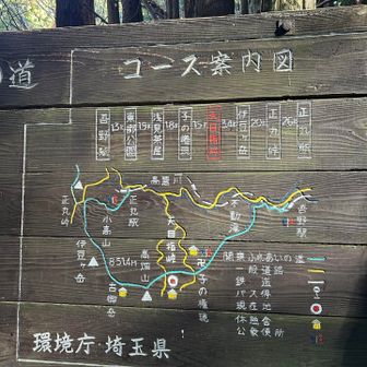 天目指峠なんて読むのかな