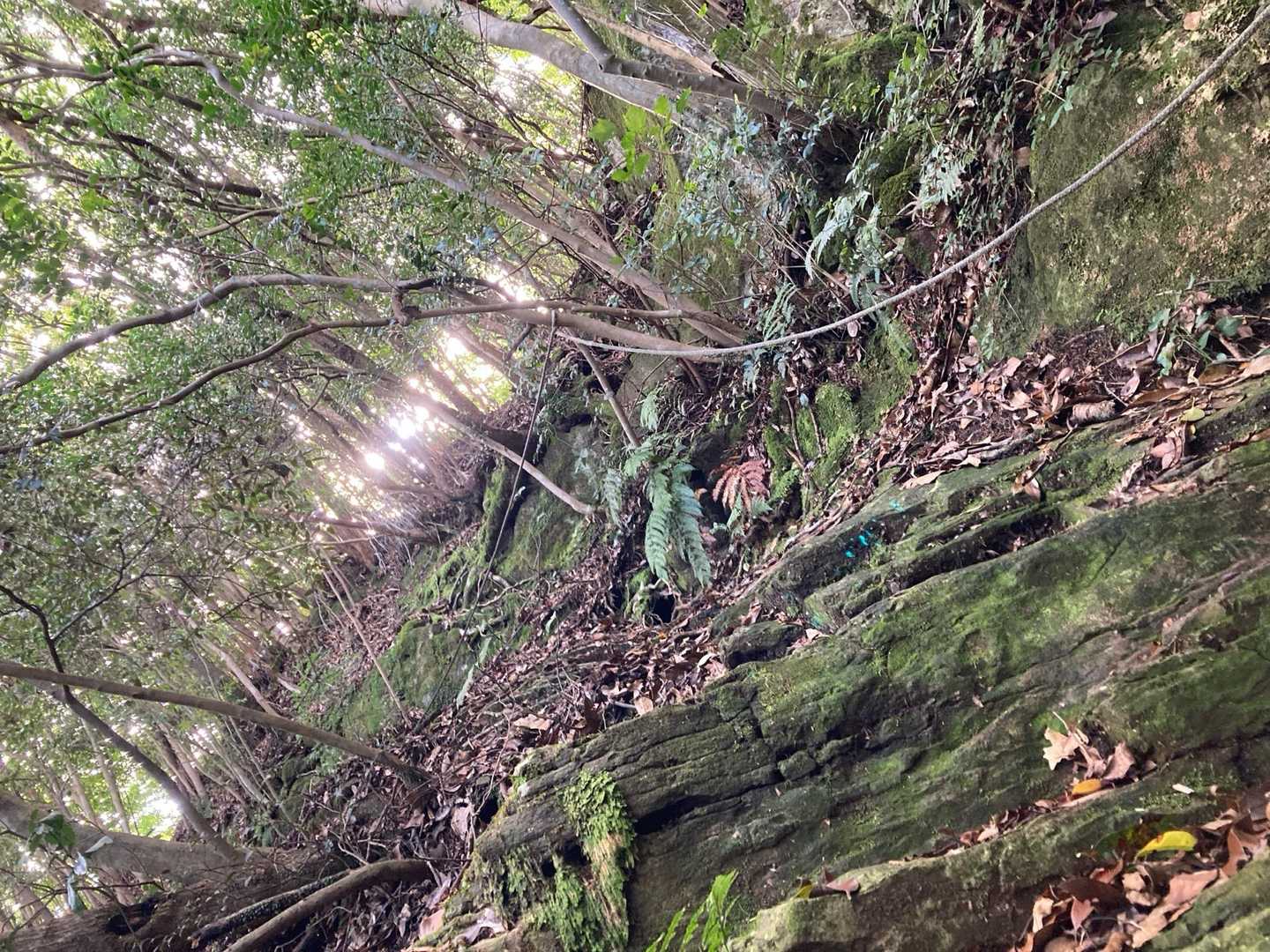 久しぶりの牧山です。
所々にロープが張ってあったり、登山道はしっかり踏み跡ありですが基本的に自然のまま。
やっぱりここは1番慣れたとこで好きな山⛰️
待つ間にしばらくぼーっとしてみる。
レオパレスのキッチンスペースは狭すぎて使えないから、帰ったら数日分を作らなきゃな。
食生活もあまりよろしくないし、調子に乗って飲んでばっかりだからもう少しちゃんとしなきゃなーなんて考えてました。