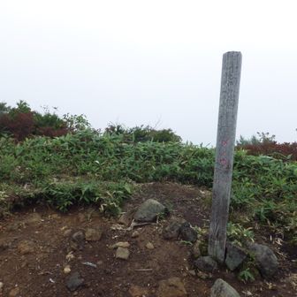 稜線に上がるとすぐ瑪瑙山
展望なし🤣