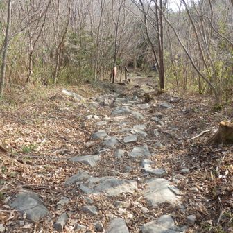 ゴツゴツをくだります