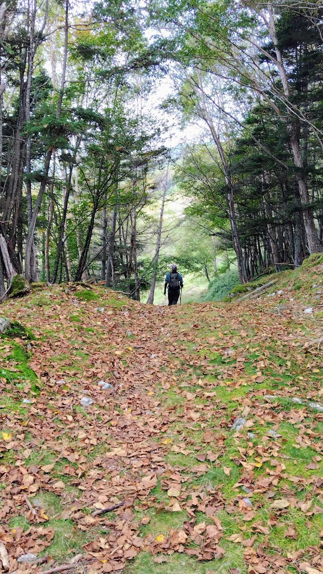 なんかここ数日で急に秋らしくなって来たよね🍁