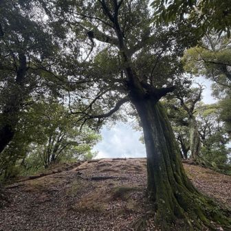 ぬかるんだ道がなかなかタフでしたが、無事一の丘へ