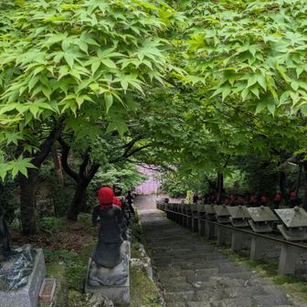 💚この後もコケることなく無事下山
お疲れ様でした😊