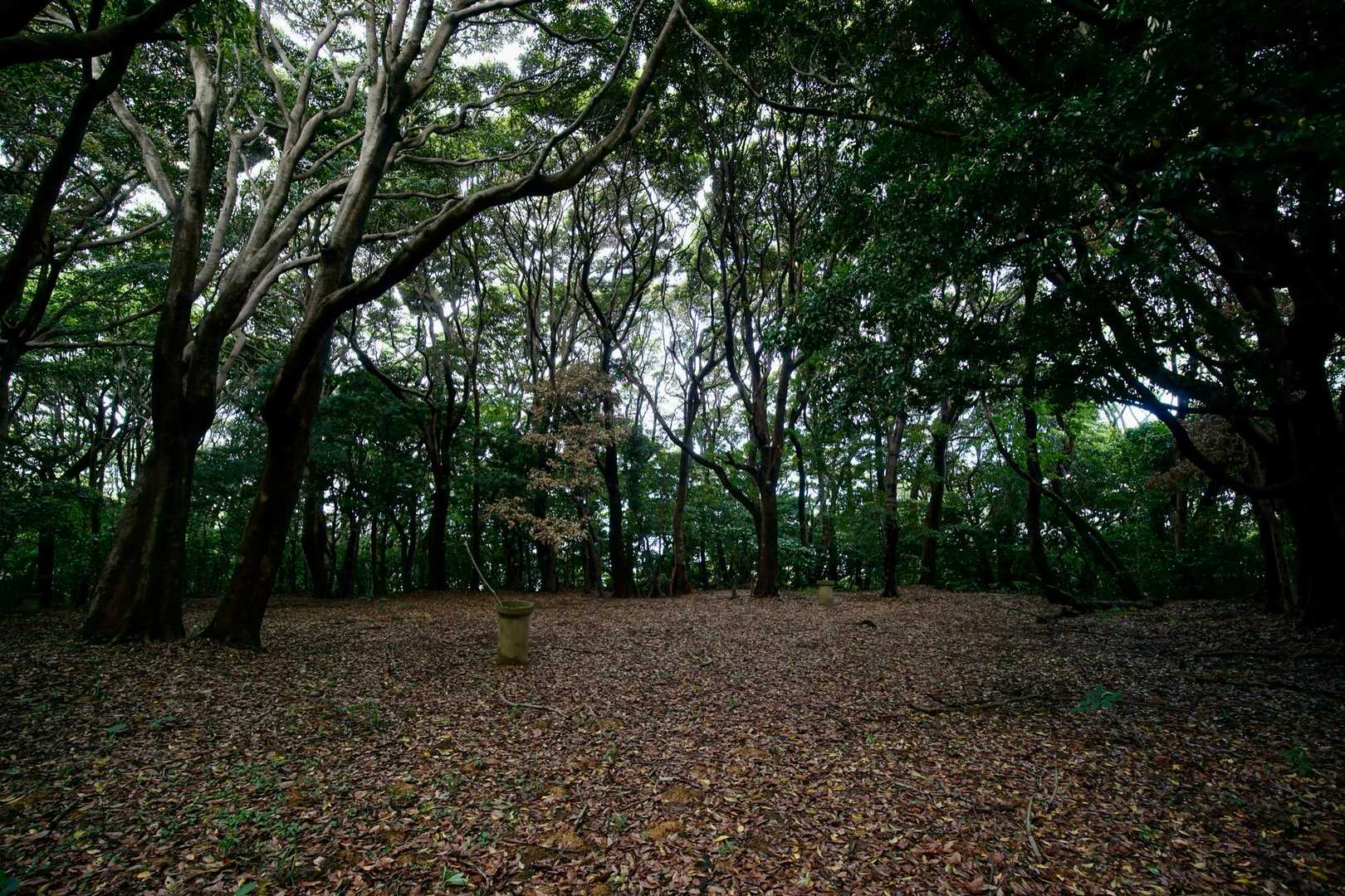 弥勒山🏔️
広い山頂です
ここもブンブン音がしてます😆
顔が痒い