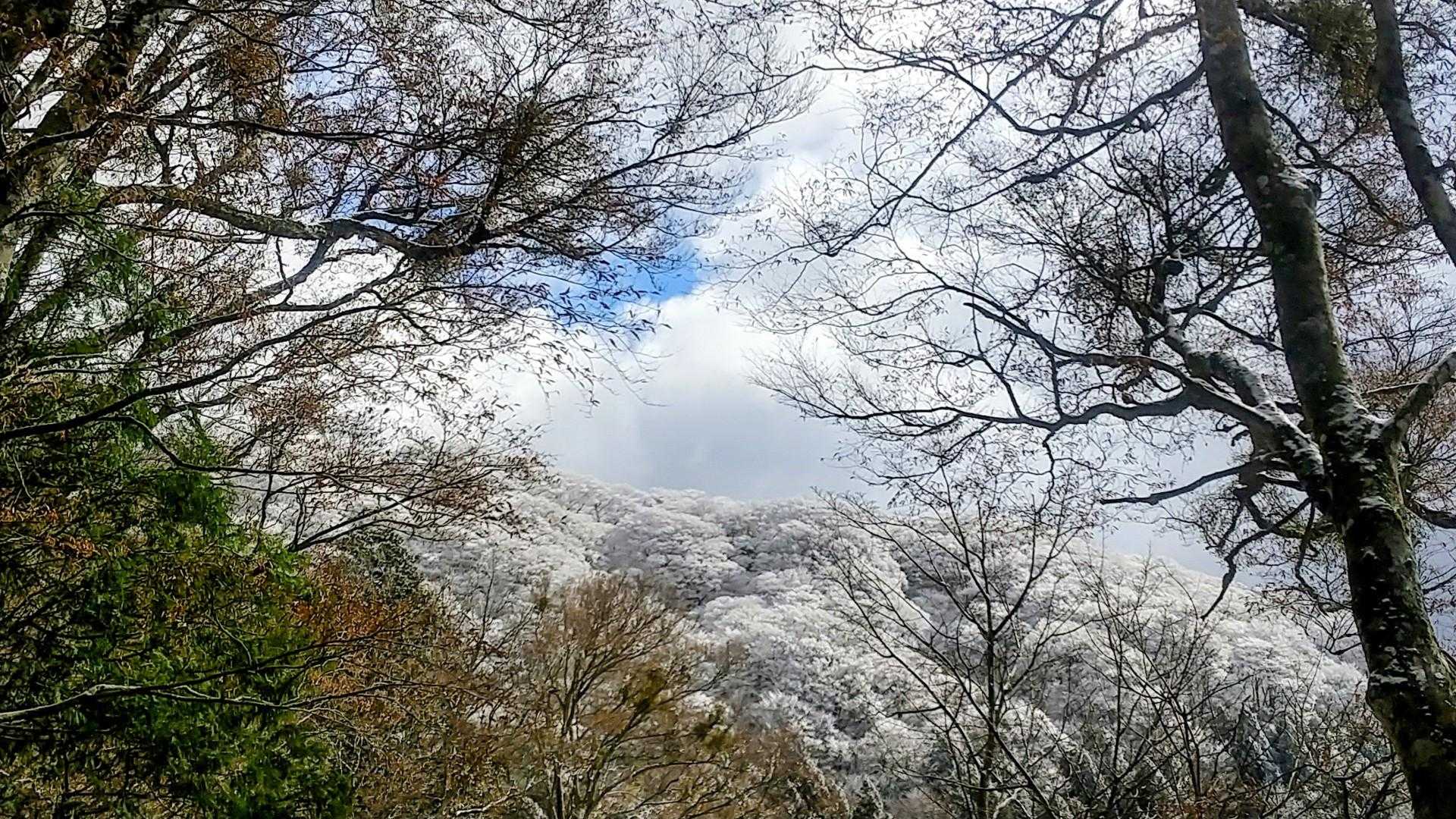 良き❄️