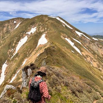 仙ノ倉山に戻ります
