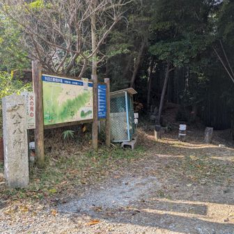 こっからまた山道→