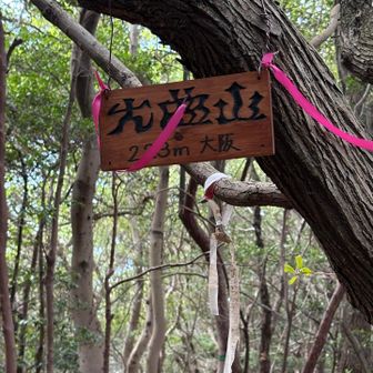 かなり下って、全然5分じゃないやん💦
ピンテ頼りに到着
11座目の大曲山
眺望も良くないし、そそくさと戻ります😅