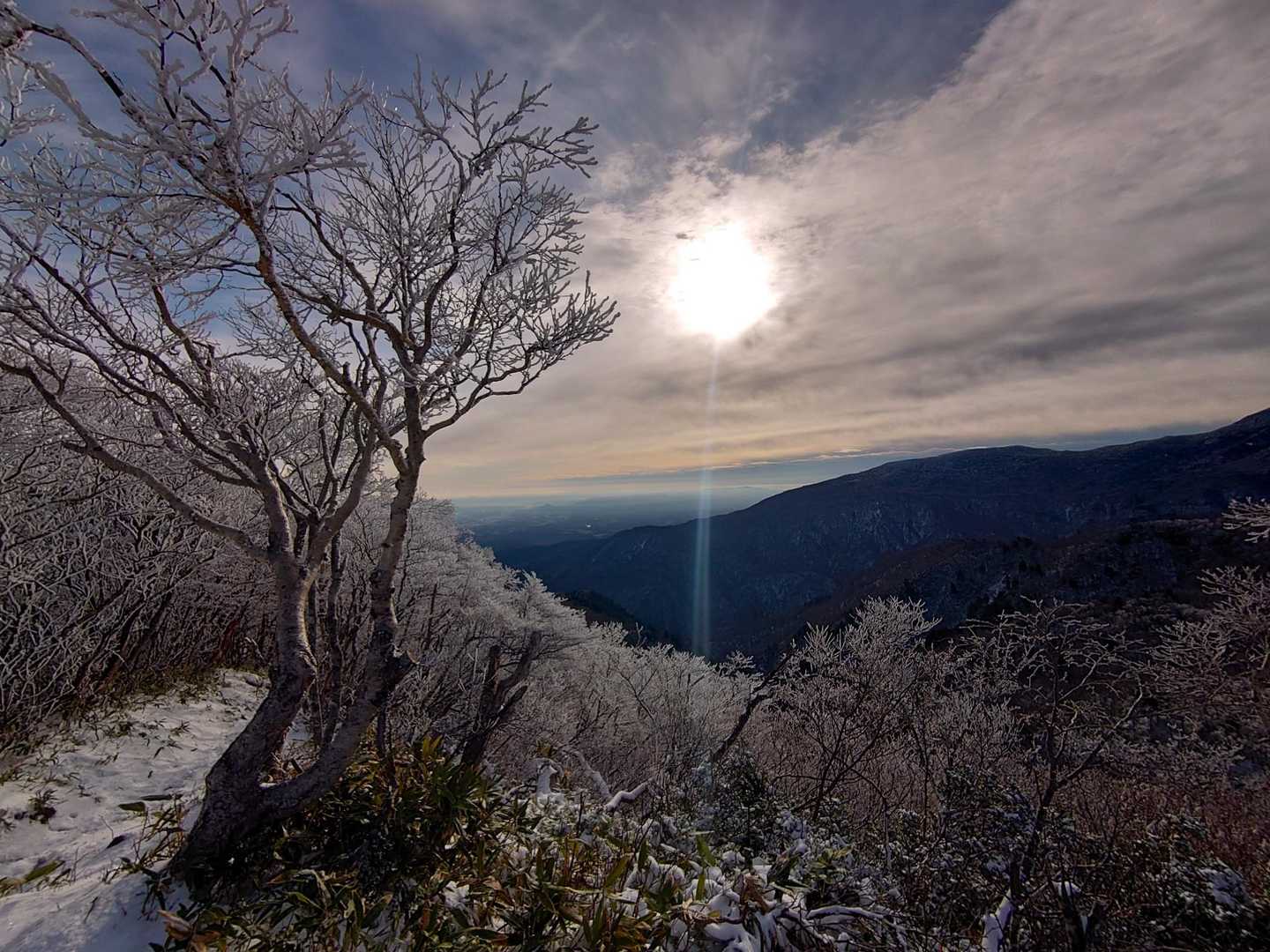 猿ヶ鼻-甲子山 往復コースの写真