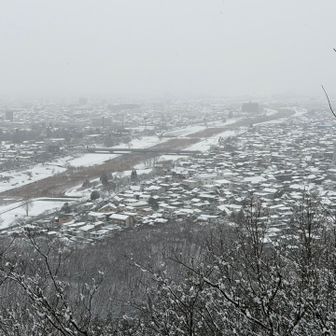 景色は手前のみ