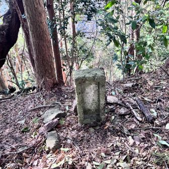 なんの祠だろう