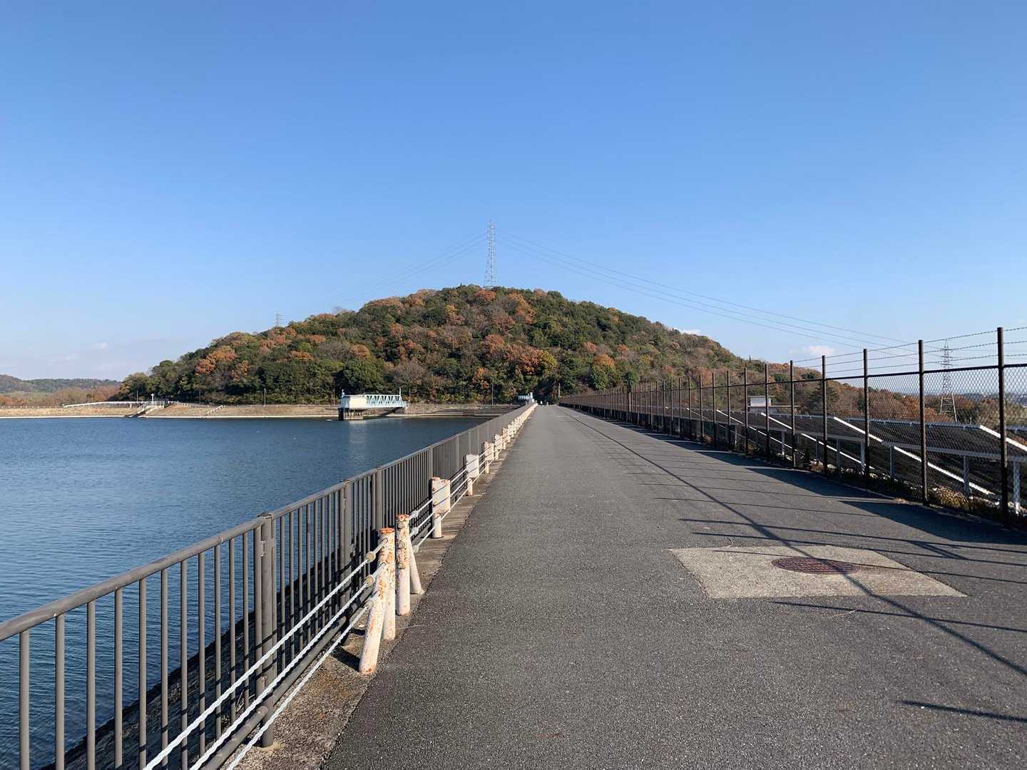 水がきれいよ。
