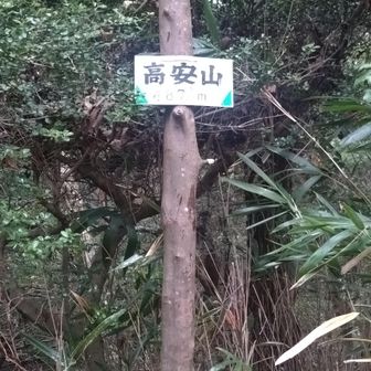 高安山のてっぺん