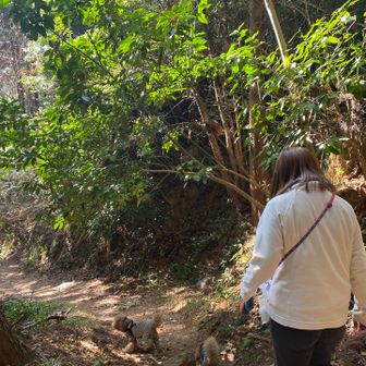 明日トリミングだから　少し汚れても大丈夫だよと
好きな所歩かせてあげる！最後まで楽しく歩いてました🎵