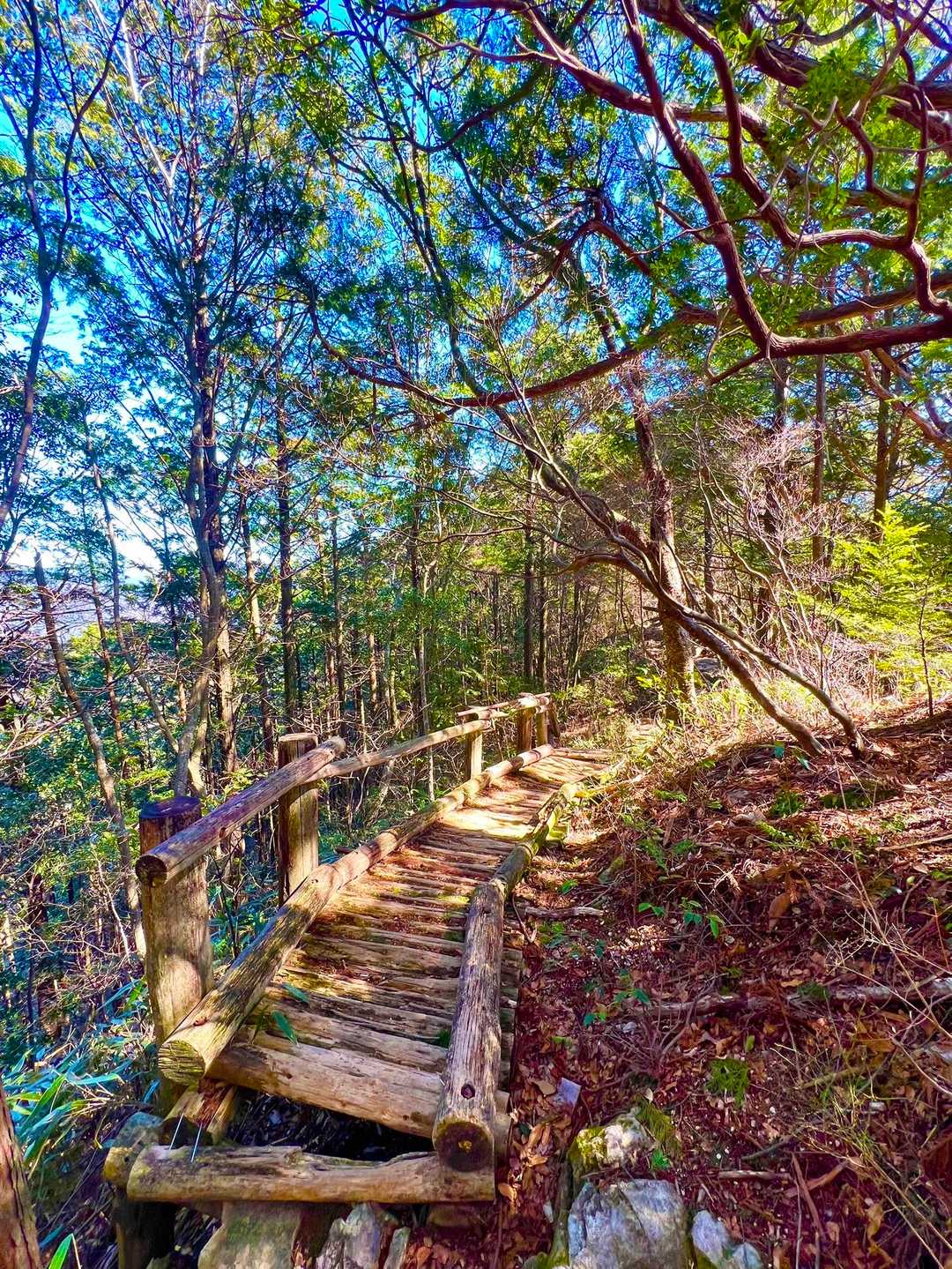 鳳来寺-鳳来寺山登り口-鳳来寺山-鷹打場-東照宮 周回コースの写真