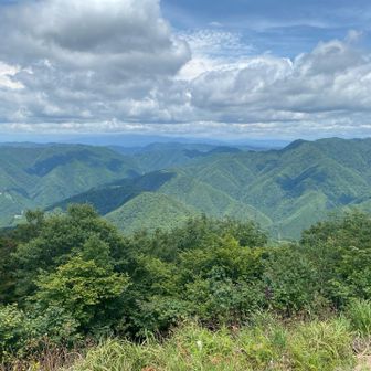 こういうの見ると疲れもどこかに　行ったかな？