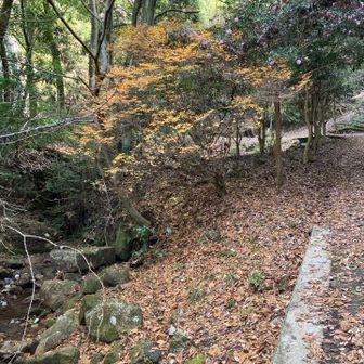 微かに秋が残っていた。