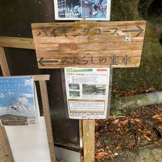 またこわごわ階段登って、登山スタート😆