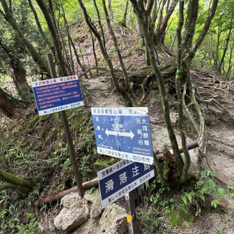 水沢峠から下りますが道が分かりにくい