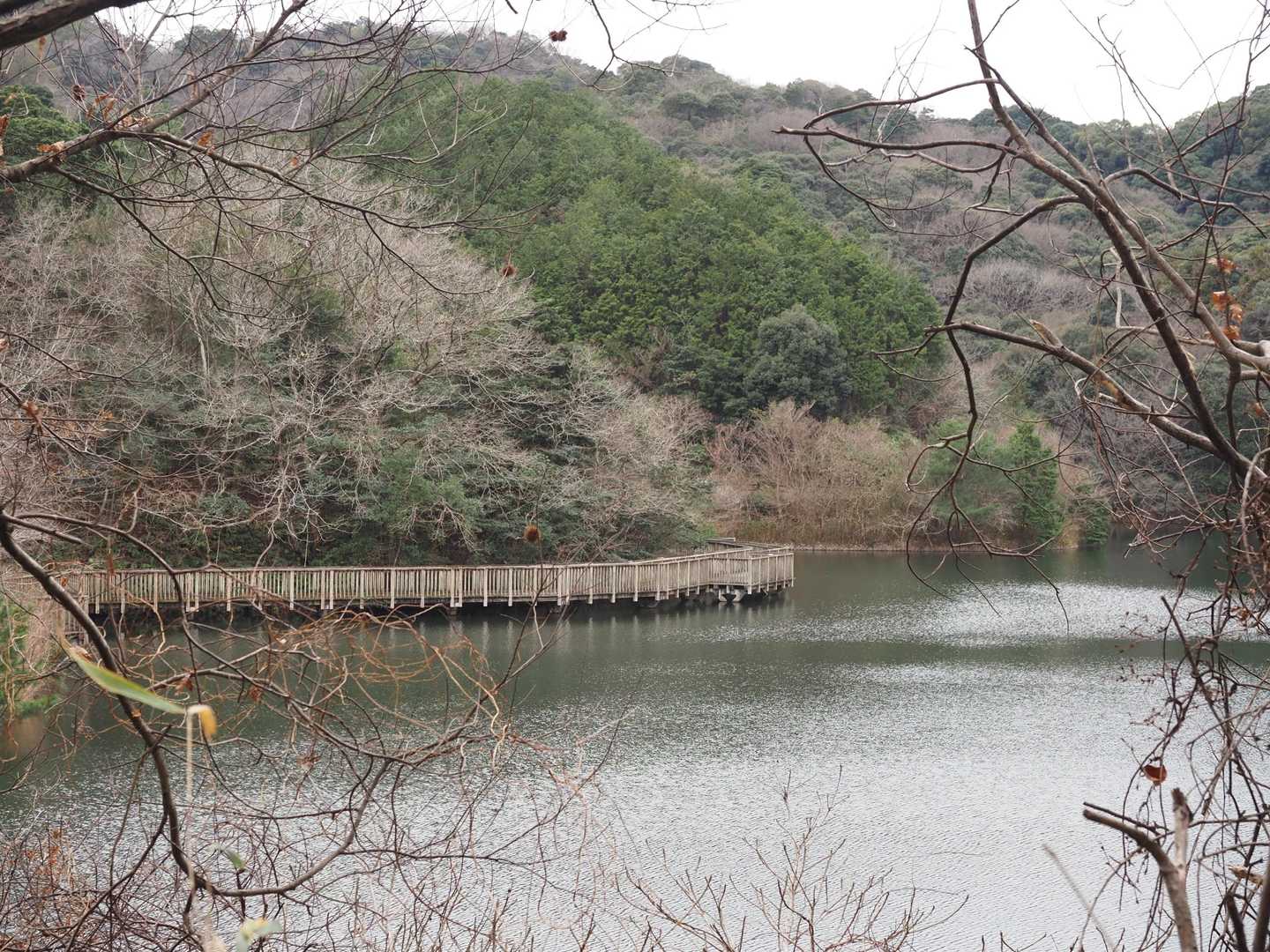 憩いの場を過ぎ