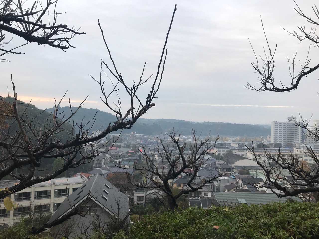 境内からの景色