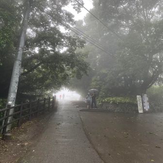 人はまばらです
