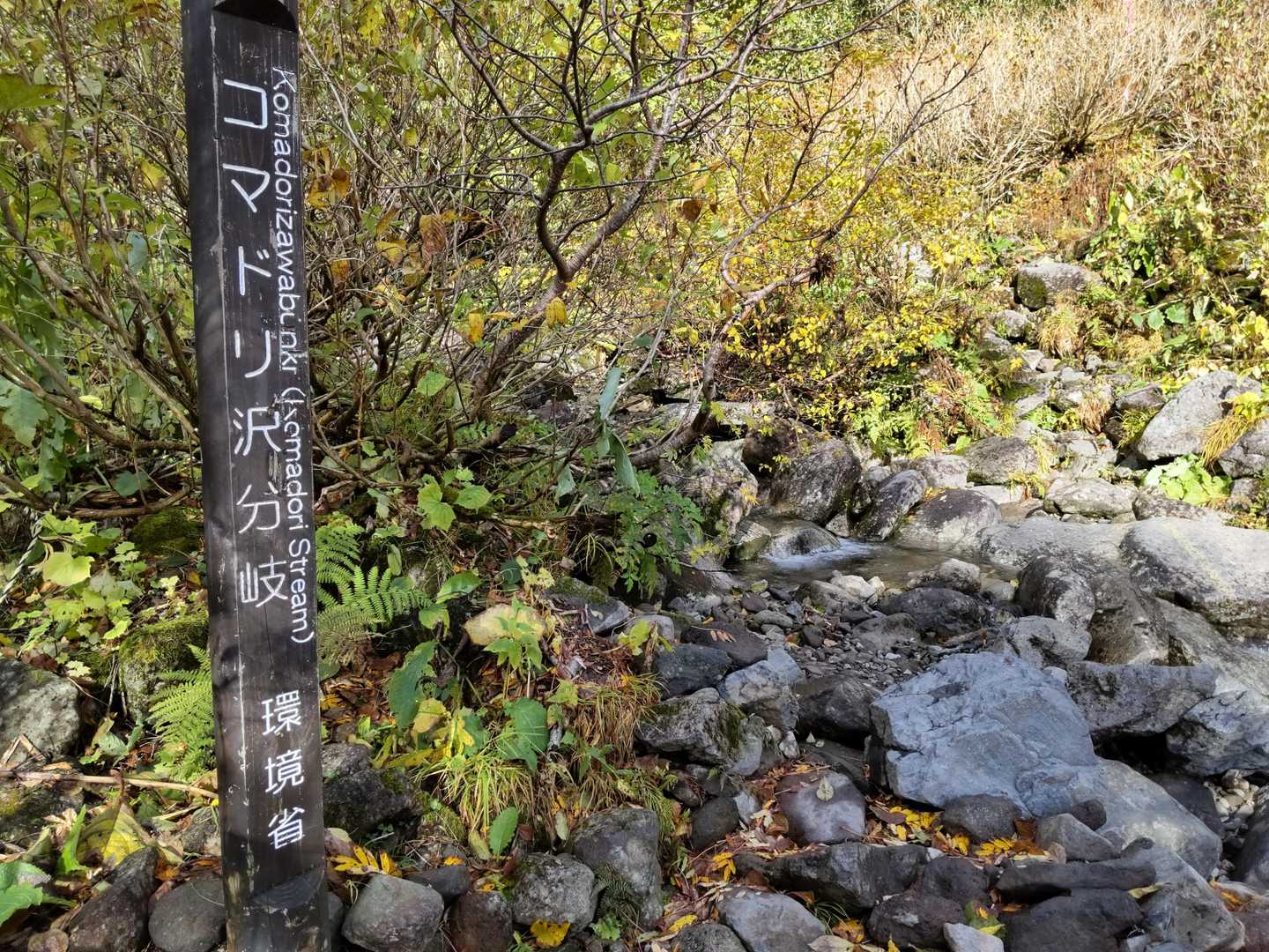 雨のせいか水場が復活