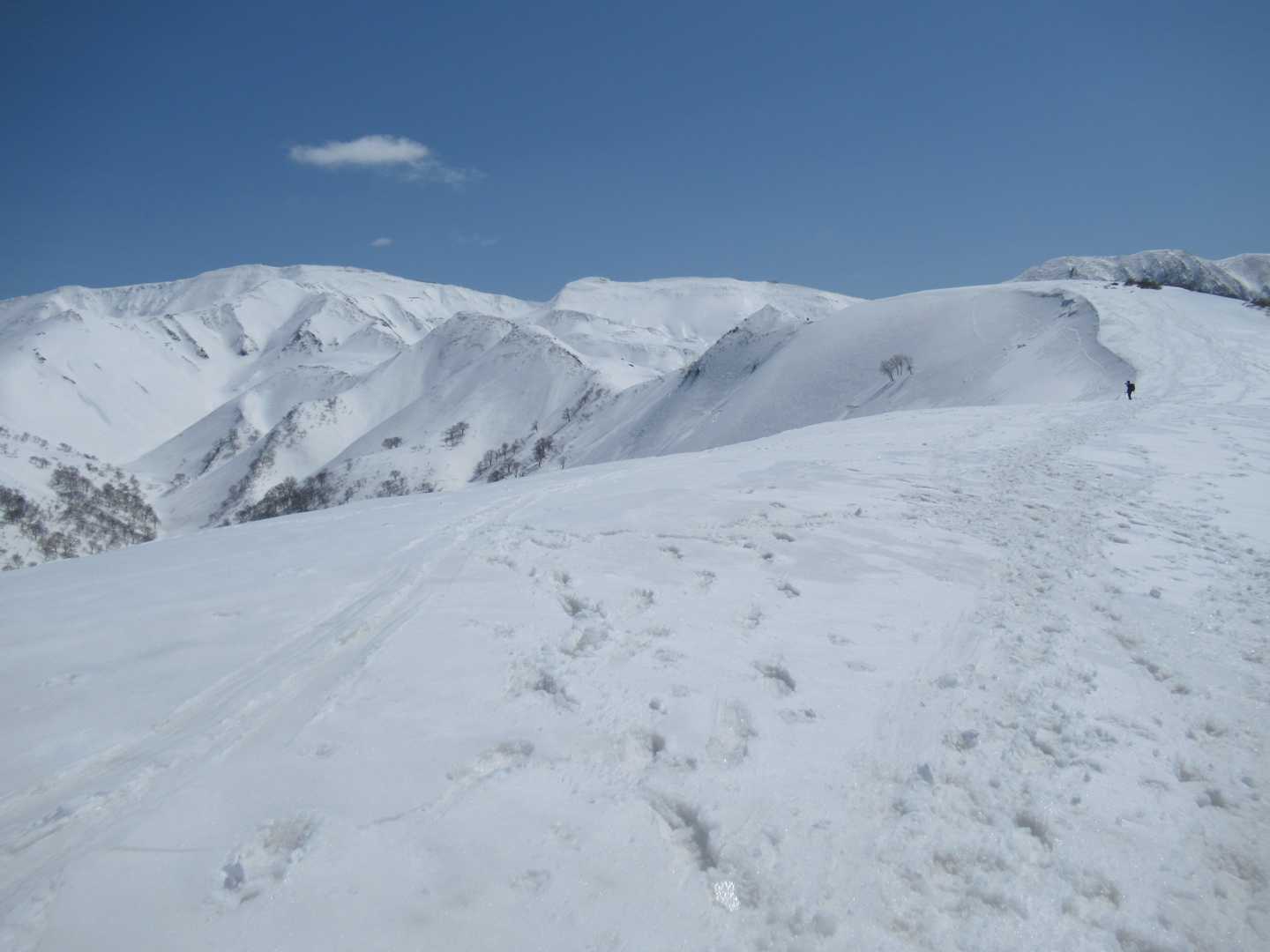 １１：１９ただ何となく広いだけの品倉山頂(1,211m)
この標高でこの積雪量さすがは豪雪地帯。
この冬は特に雪が多かったから。