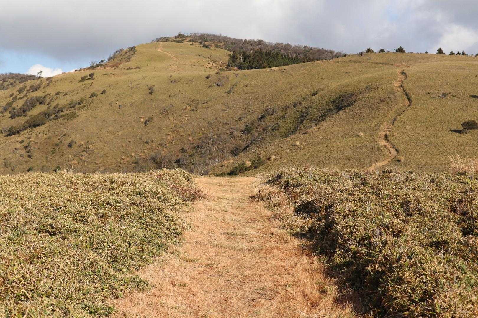 仁科峠-風早峠-魂の山-土肥峠-吉奈峠-棚場山-土肥峠-伽 縦走コースの写真