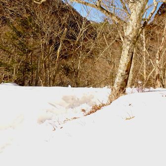 金糞峠に辿り付きました。
ご褒美のひだまりでブレークタイム。ホット生姜ココアとお菓子ので至福。
行き違いで行かれる３人組。先に歩いておいてよかった！と思える自分がいました。